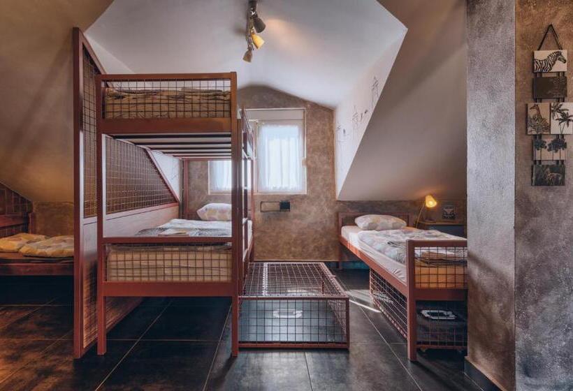 هاستل Q Podgorica Beds,rooms And More