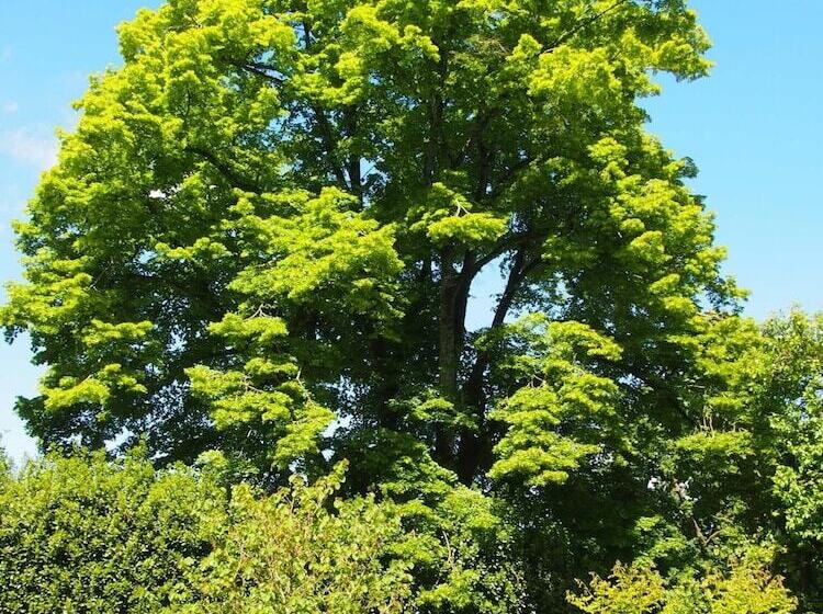 צימר Manoir De Pommery