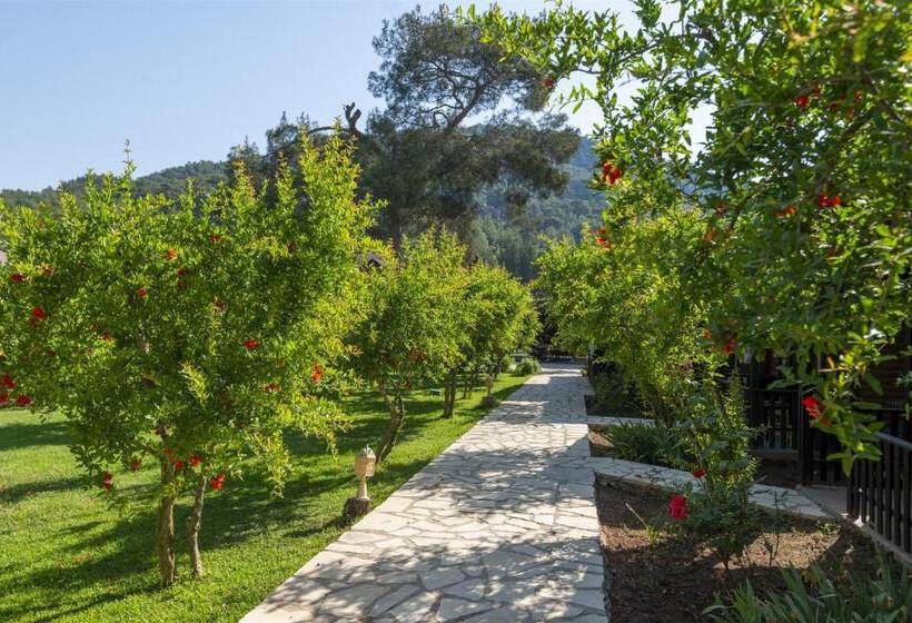 هتل Koala Bungalows