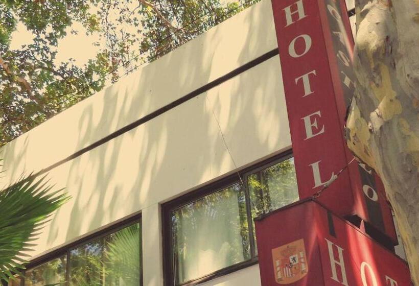 فندق Nuevo Castillo