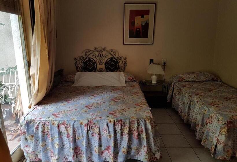 فندق Nuevo Castillo