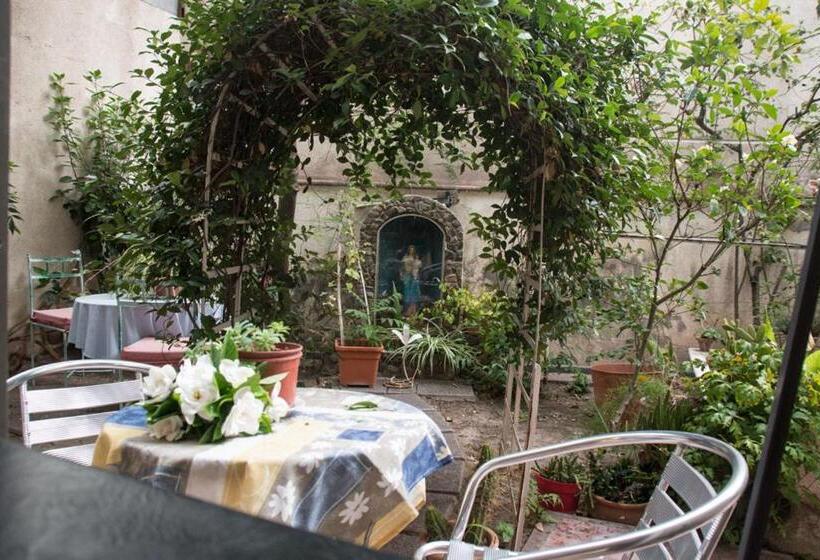 فندق Nuevo Castillo