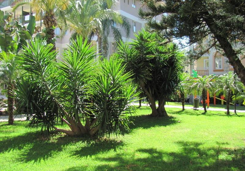 Side Village Hotel All Inclusive