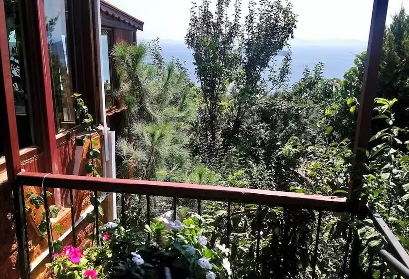 Hotelli Tasev Butik