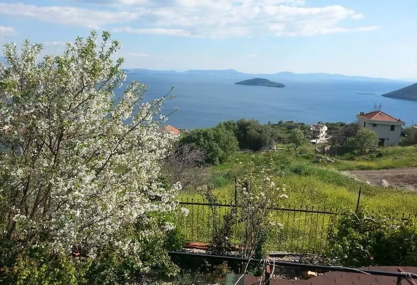 Hotelli Tasev Butik