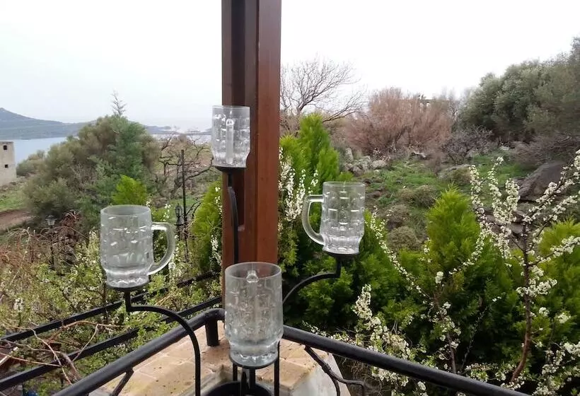 Hotelli Tasev Butik