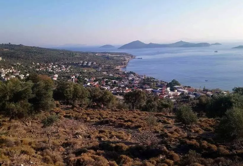 Hotelli Tasev Butik