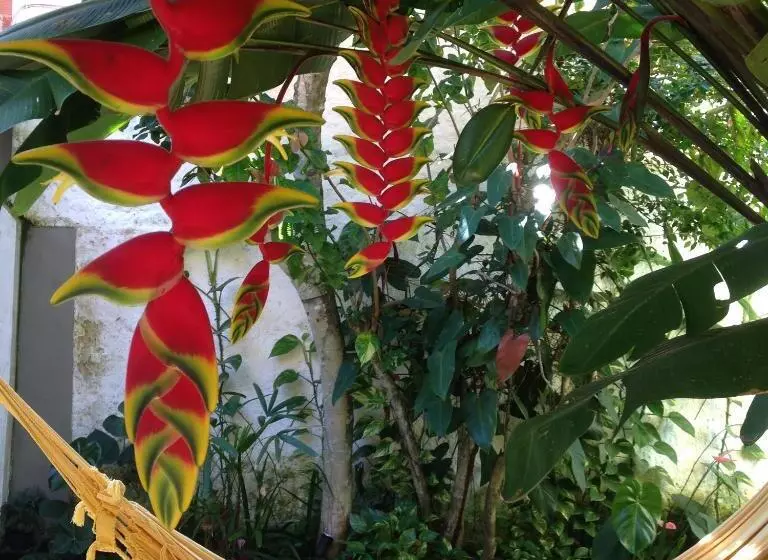 Maracujá Hostel