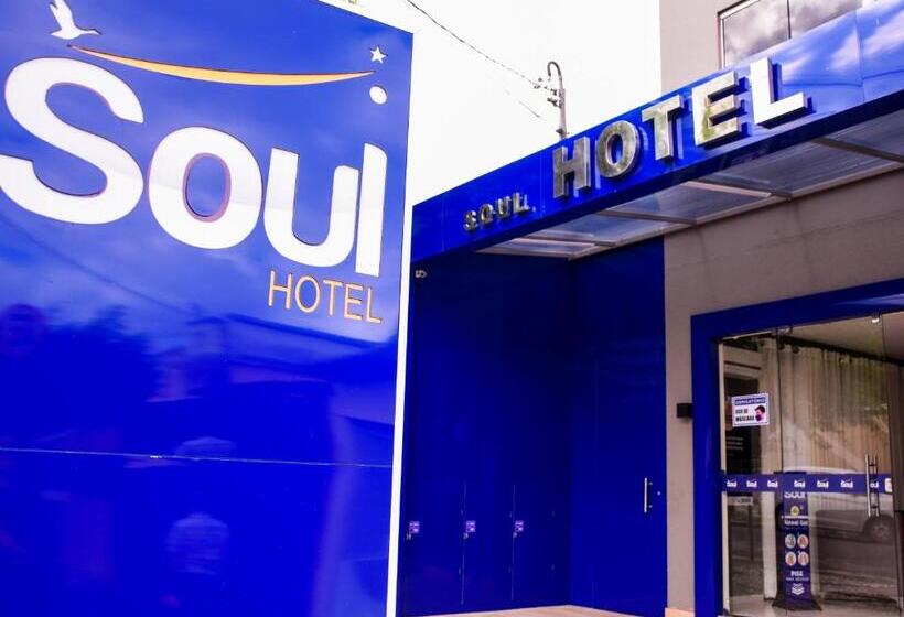 בית מלון כפרי Soul