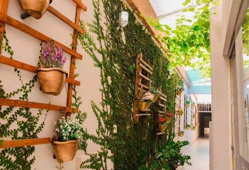 בית מלון כפרי Soul