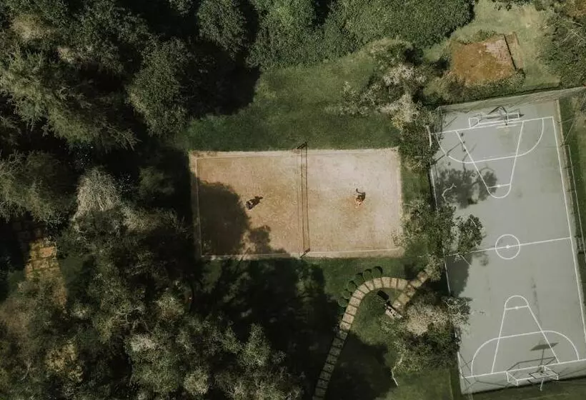 Roots Resort