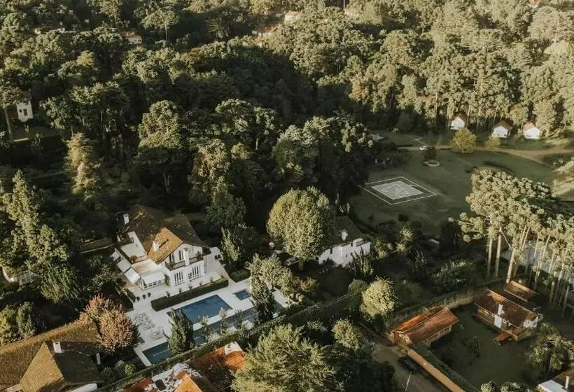 Roots Resort