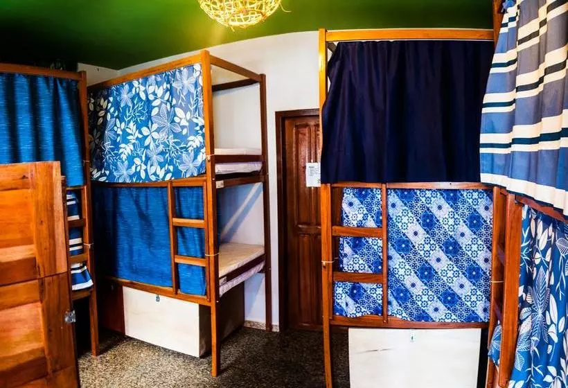 ホテル Local Hostel Manaus