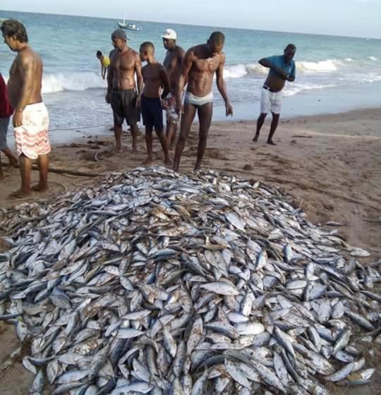 בית מלון כפרי Pousada Ancora