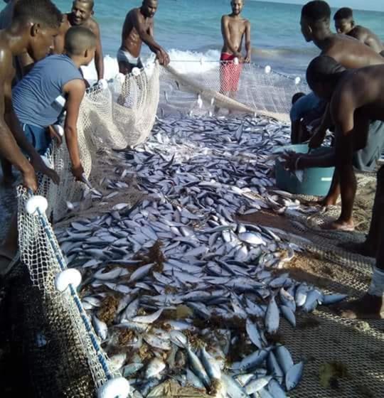 בית מלון כפרי Pousada Ancora