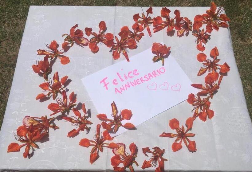 ホテル Pousada Mediterraneo