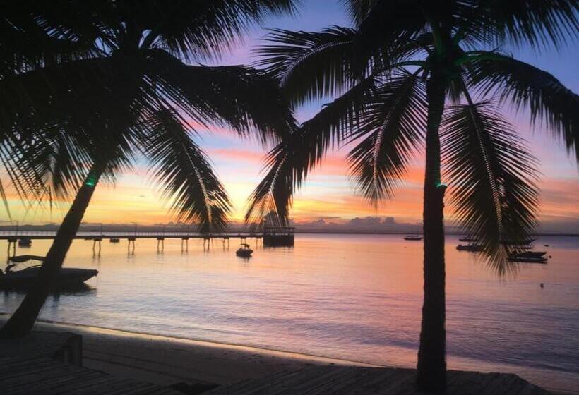 ホテル Pousada Mediterraneo