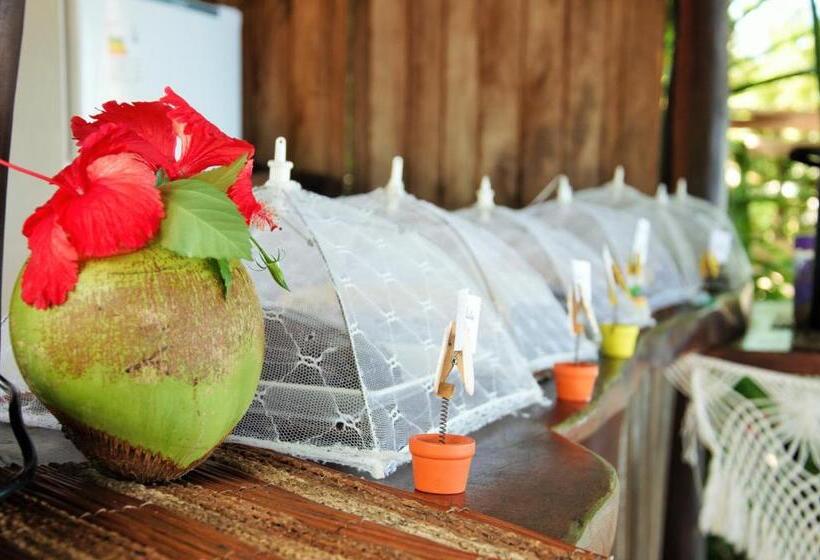 ホテル Pousada Mediterraneo