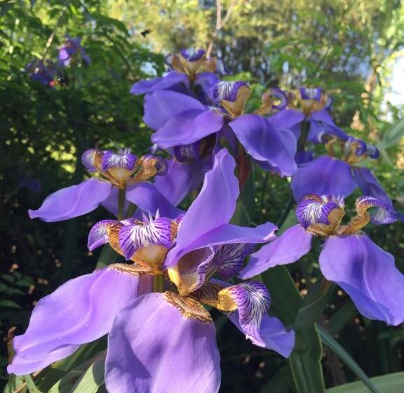 Общежитие Guappo Socorro