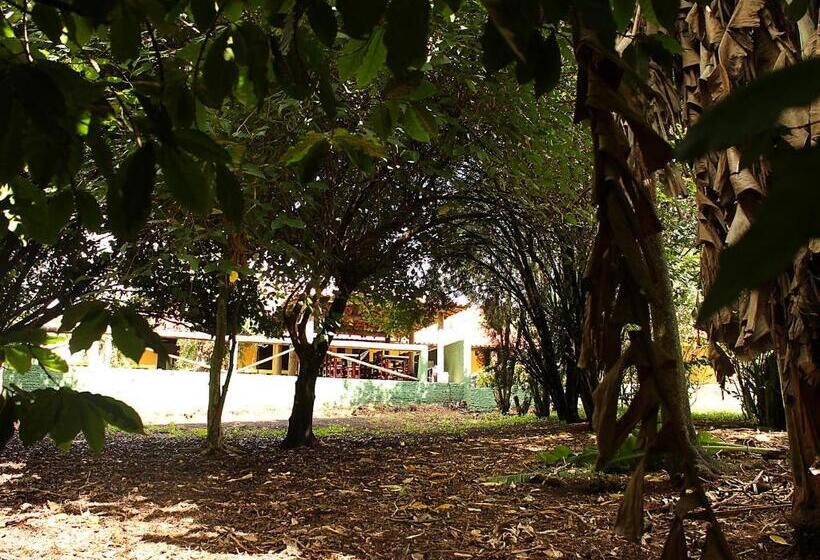 Общежитие Guappo Socorro