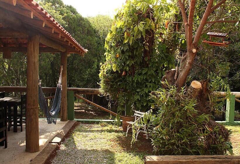 Общежитие Guappo Socorro