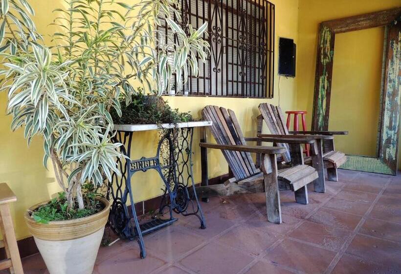 Общежитие Guappo Socorro