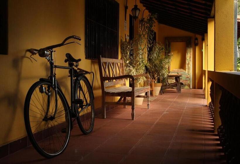 Общежитие Guappo Socorro