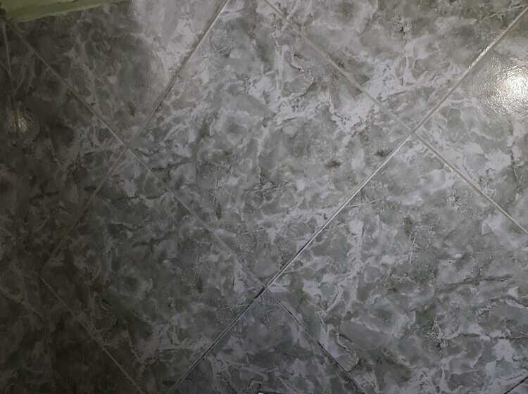 酒店 Chalé Ji Parana