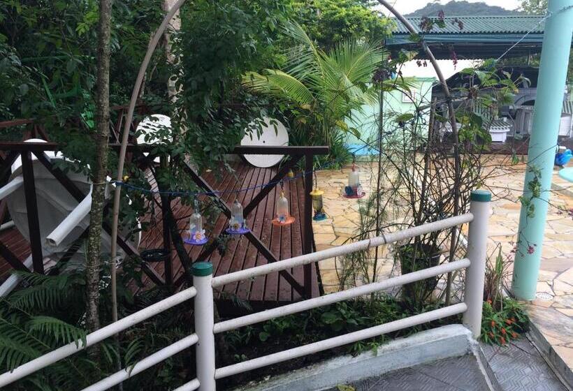 ホテル Pousada Reimar