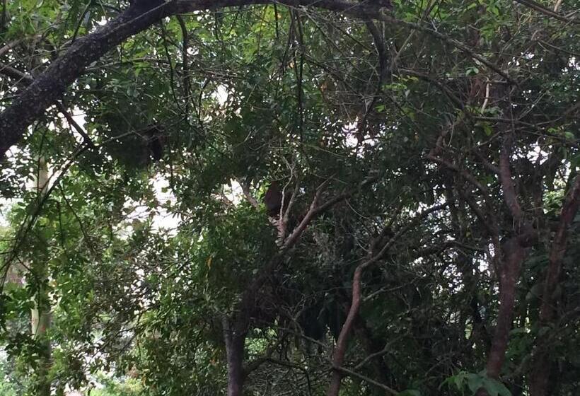 ホテル Pousada Reimar