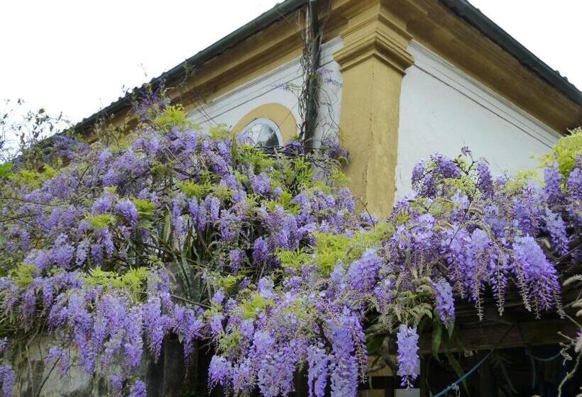 Pouso Das Glicínias   B&b
