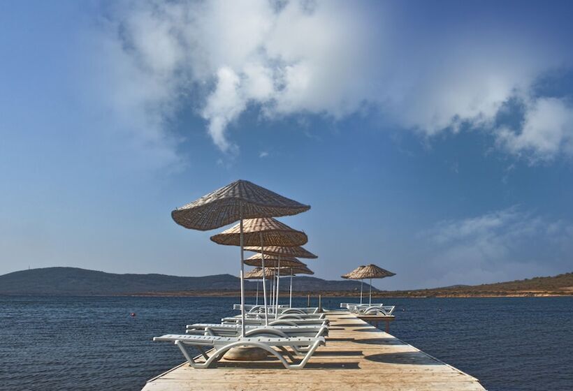 בית מלון כפרי Biyikli Pansiyon