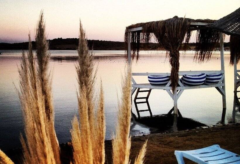 בית מלון כפרי Biyikli Pansiyon