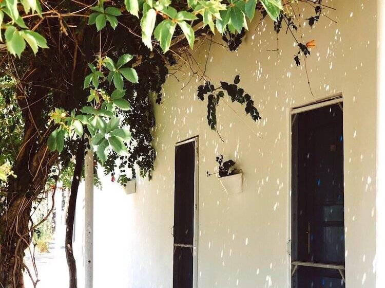 בית מלון כפרי Biyikli Pansiyon