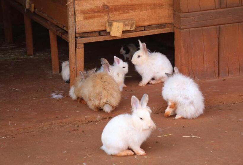 Hotel Carpe Diem Eco Resort Olímpia