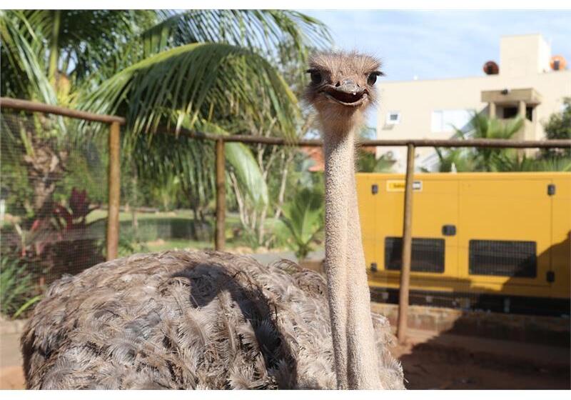 Hotel Carpe Diem Eco Resort Olímpia