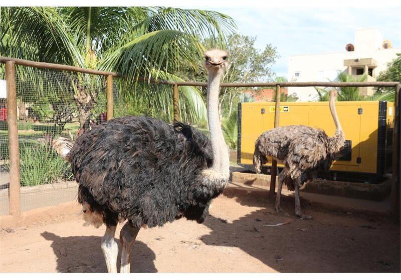 Hotel Carpe Diem Eco Resort Olímpia