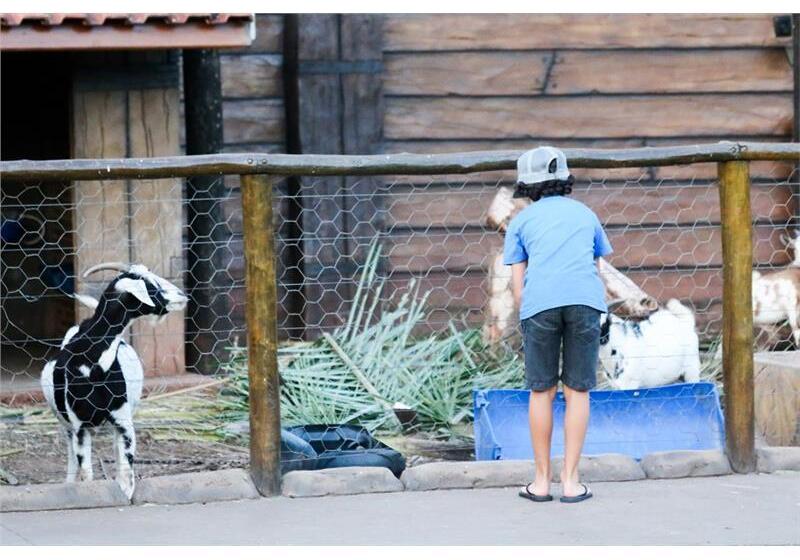 Hotel Carpe Diem Eco Resort Olímpia