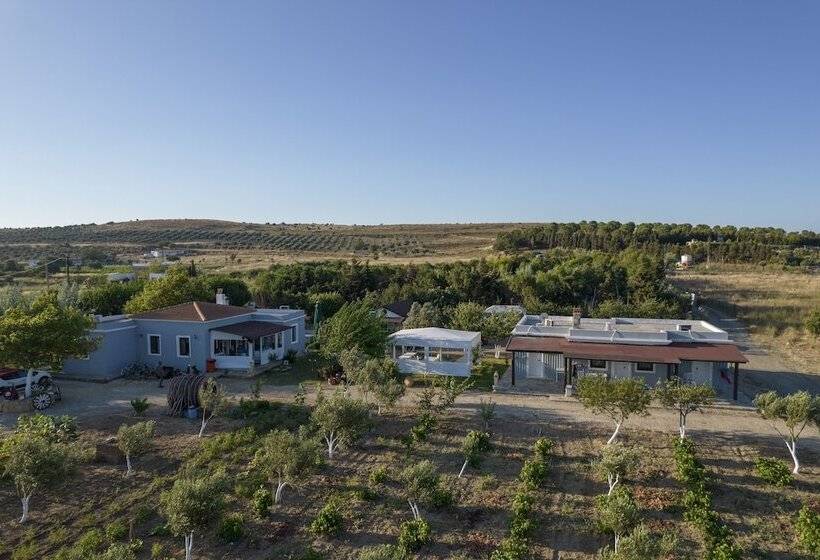 تختخواب و صبحانه Bagban Bozcaada