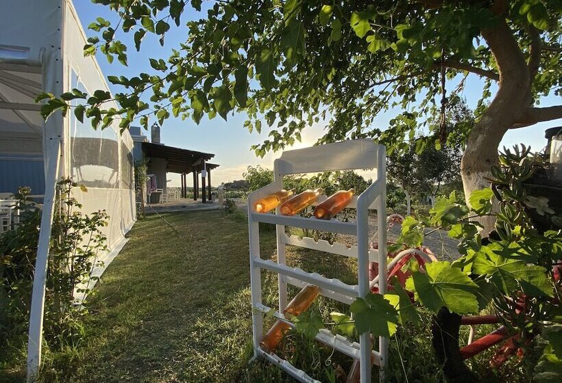 تختخواب و صبحانه Bagban Bozcaada