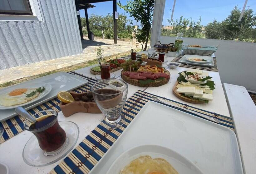 تختخواب و صبحانه Bagban Bozcaada