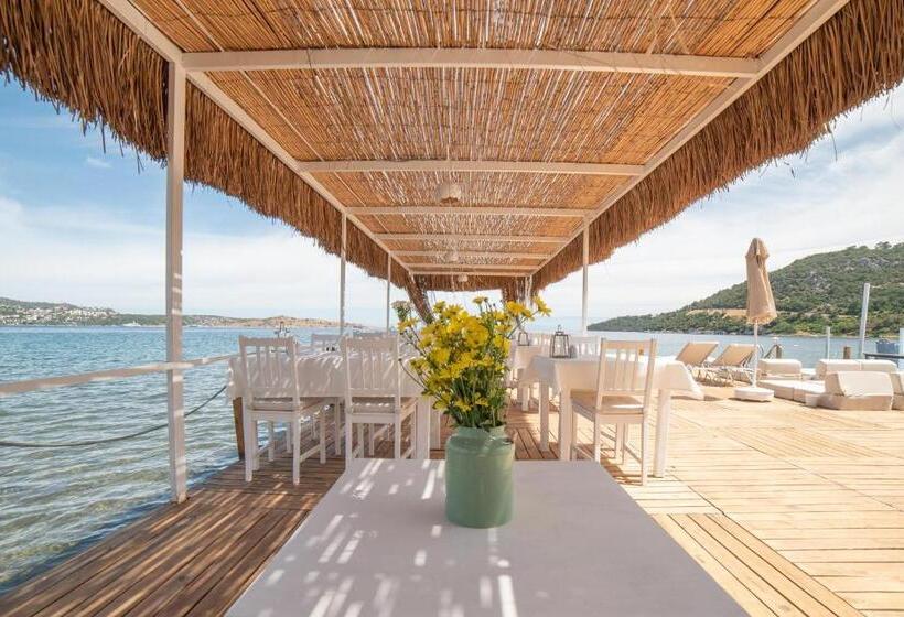 Aamiaismajoitus (B&B) Madda