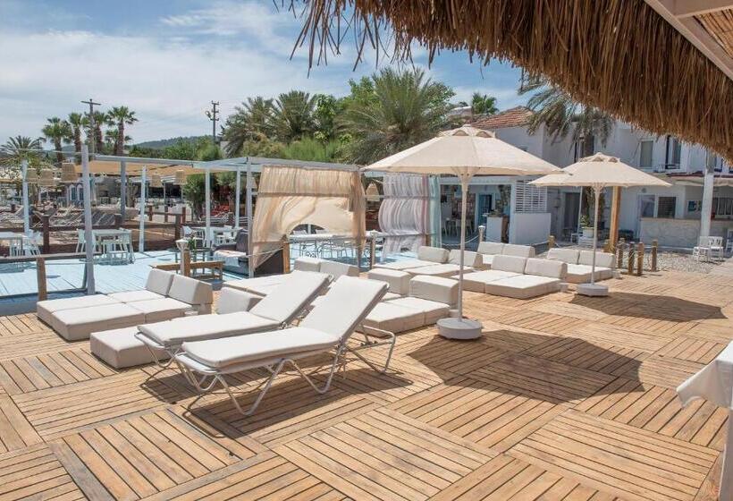 Aamiaismajoitus (B&B) Madda