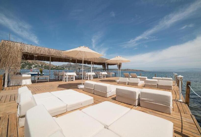 Aamiaismajoitus (B&B) Madda