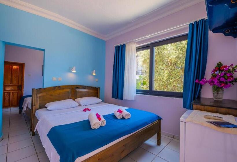 Aamiaismajoitus (B&B) Selim Pansiyon   Adults Only