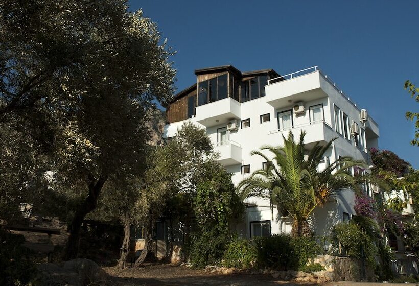 Aamiaismajoitus (B&B) Selim Pansiyon   Adults Only