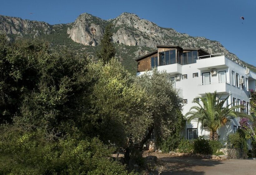 Aamiaismajoitus (B&B) Selim Pansiyon   Adults Only