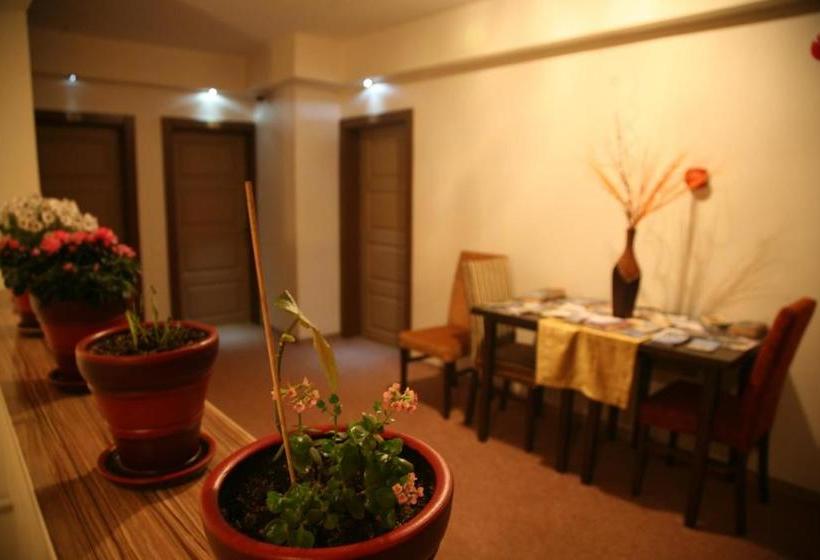 בית מלון כפרי Aymini