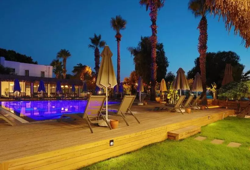 ホテル Yalipark Beach