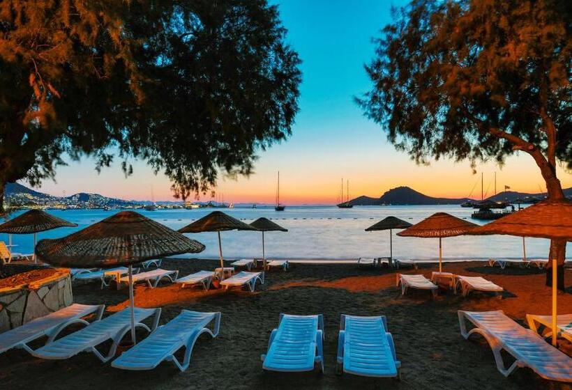 호텔 Yalıpark Beach